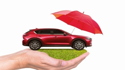 motor insurance, motor insurance renewal, motor insurance plan,