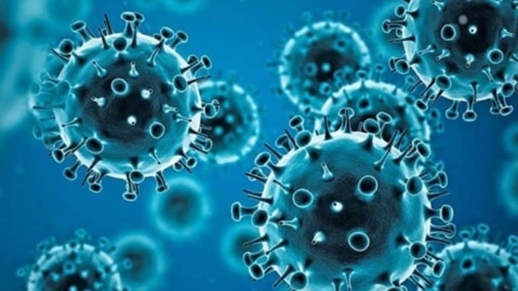 Coronavirus pandemic, COVID-19 pandemic, china covid outbreak, health news, covid news,