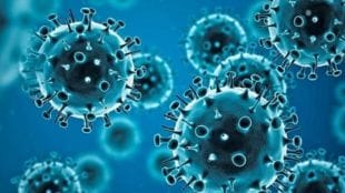 Coronavirus pandemic, COVID-19 pandemic, china covid outbreak, health news, covid news,