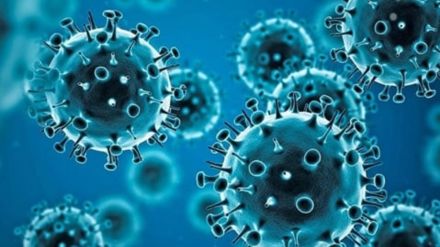 Coronavirus pandemic, COVID-19 pandemic, china covid outbreak, health news, covid news,