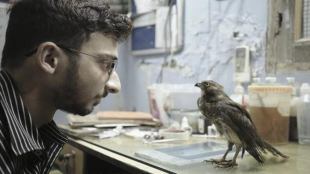 Shaunak Sen, Shaunak Sen Oscar, All That Breathes, All That Breathes india