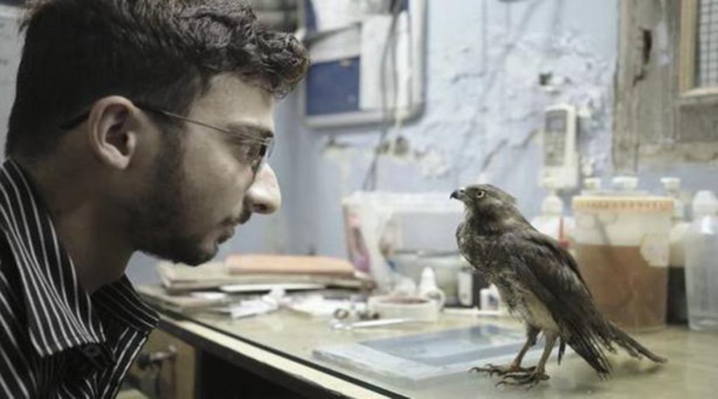 Shaunak Sen, Shaunak Sen Oscar, All That Breathes, All That Breathes india Shaunak Sen, Shaunak Sen Oscar, All That Breathes, All That Breathes india