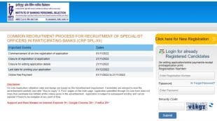 IBPS SO 2022, IBPS SO 2022 online application link, IBPS SO Recruitment 2022