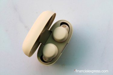 Sony LinkBuds S (WF-LS900N)