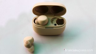 Sony LinkBuds S (WF-LS900N)