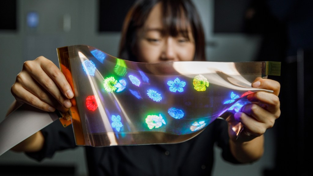 LG stretchable display