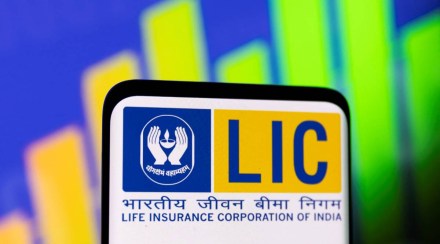LIC shares