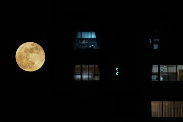 Full Moon seen in the sky from Mumbai, Tuesday, Nov. 8, 2022. (Photo source: PTI)