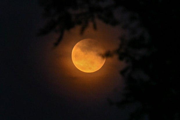 Full Moon seen in the sky from Mysuru, Tuesday, Nov. 8, 2022. (Photo source: PTI)