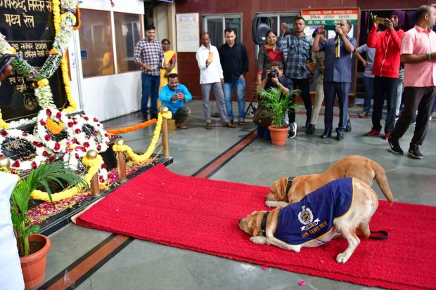 Sniffer dogs pay tribute to the 26/11 terror attack victims at Chhatrapati Shivaji Maharaj Terminus (CSMT) on the occasion of the 14th anniversary of the incident in Mumbai. (PTI)