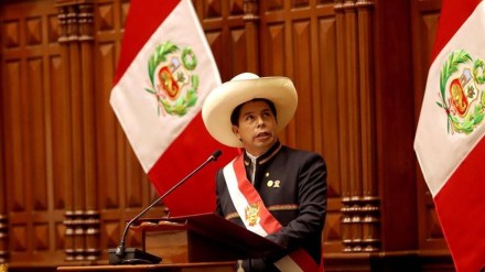 President Castillo, Peru, Protest, Peru President, Lima, Opposition, Impeachment, World News