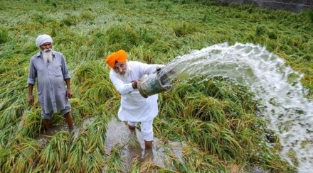 Highlighting the measures taken by the Punjab government, CM Bhagwant Mann also mentioned the plan of action wherein different districts of the state were assessed on the basis of the cropping pattern. Image: PTI Highlighting the measures taken by the Punjab government, CM Bhagwant Mann also mentioned the plan of action wherein different districts of the state were assessed on the basis of the cropping pattern. Image: PTI