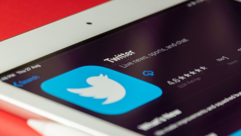 Twitter paused its recently announced $8 blue check subscription service on Friday as fake accounts mushroomed