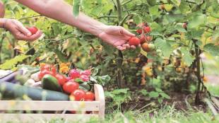agri startup