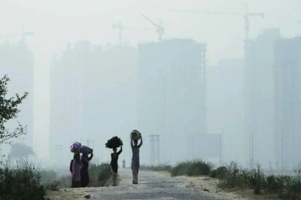 Apart from this, another 25 km length of road, central verges and plants were washed by the Horticulture Department of the Authority Apart from this, another 25 km length of road, central verges and plants were washed by the Horticulture Department of the Authority