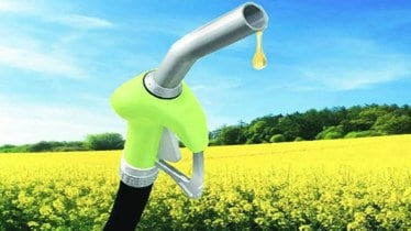 Increased E&P, import diversification, biofuels part of India's four-plank energy security strategy: Puri