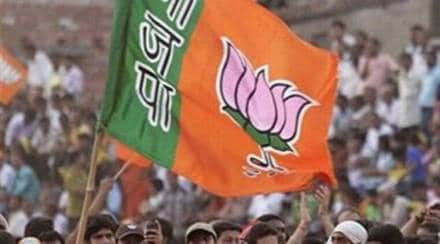bjp in gujarat polls