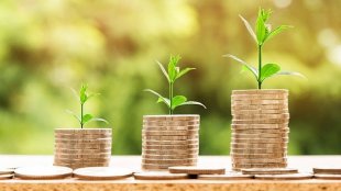 bank of baroda fixed deposit interest rates