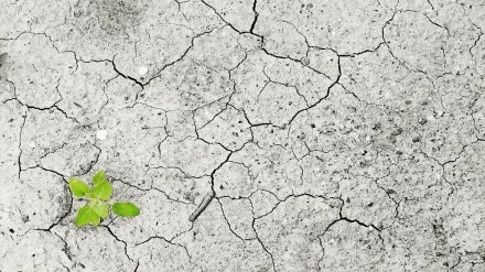 climate change, esg