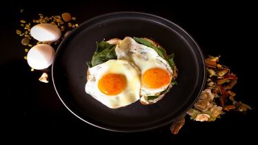 Mono diet benefits