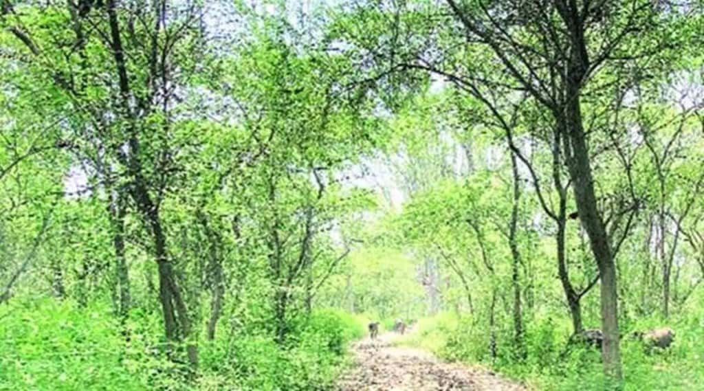 The Trees Outside Forests in India (TOFI) program will take foward Haryana's State Action Plan on Climate Change