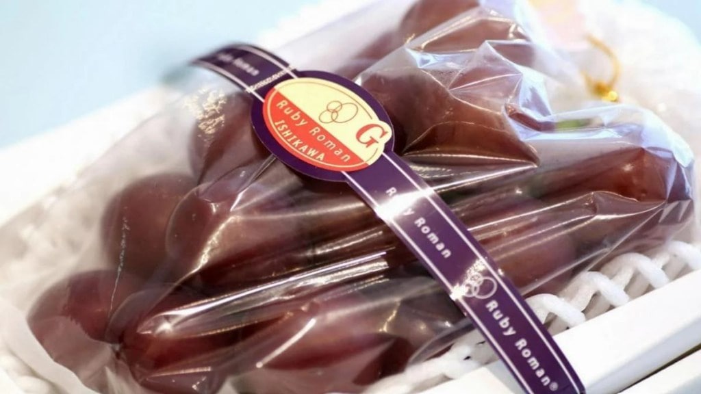 world’s most expensive grapes, expensive grapes, Japanese grapes, expensive japanese grapes