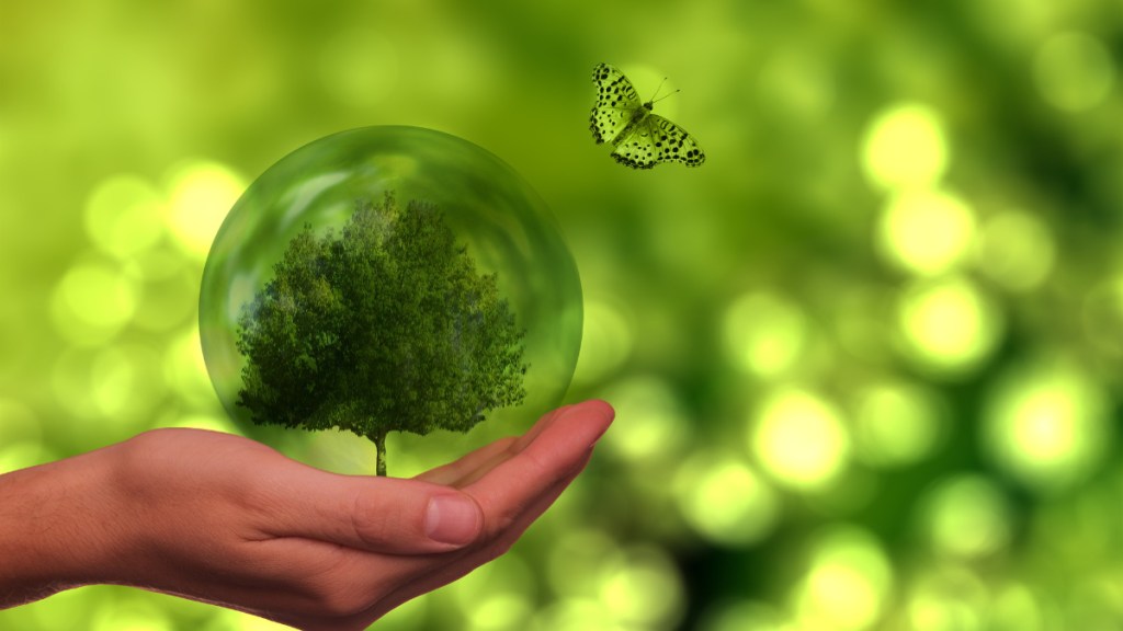 Climate crisis, climate change, global warming, environment news, green energy, renewable energy, KPMG, KPMG news