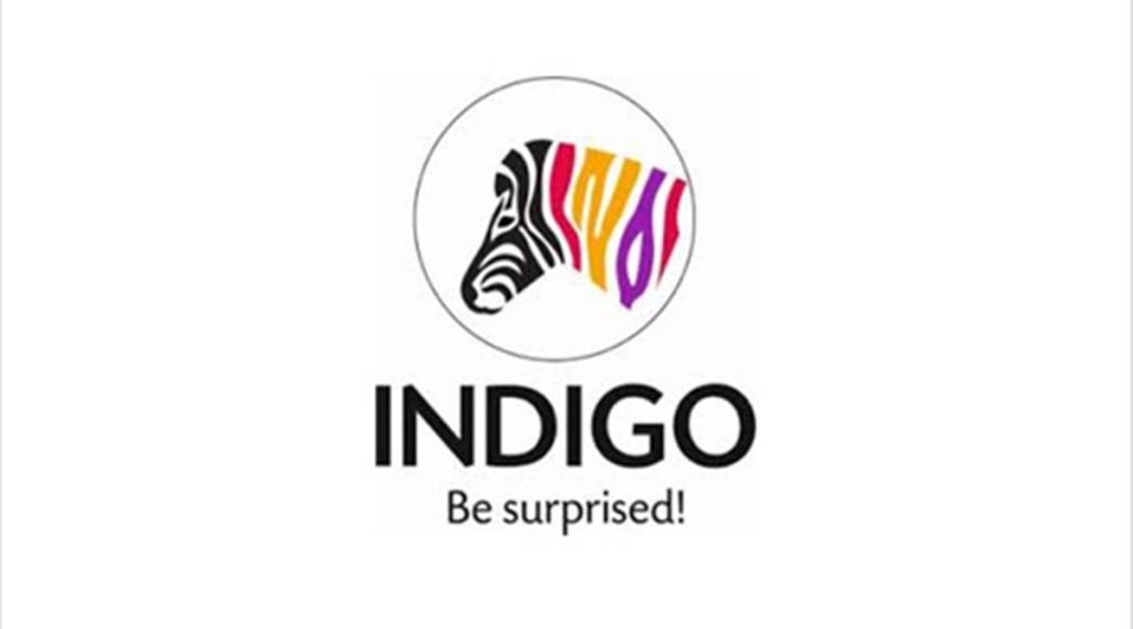 Indigo's second quarter revenues rose by 23.71% to Rs 242.61 crore, while the Ebitda margin expanded to 13.92% from 11.92% in Q2FY23. (IE)