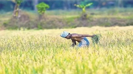 PM Kisan