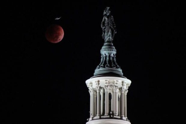 A bird flies past the moon during the lunar eclipse by the US Capitol in Washington, US, November 8, 2022. (Photo source: Reuters)