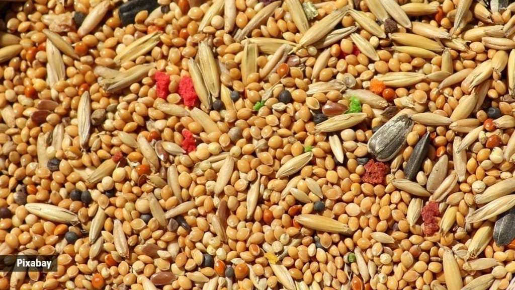 From an exports of $ 64 million in 2021-22, shipment of nutri-cereals could cross $ 100 million by 2023-24, as per official assessment. (IE)