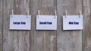 Large vs small vs mid vs flexi cap fund