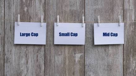 Large vs small vs mid vs flexi cap fund