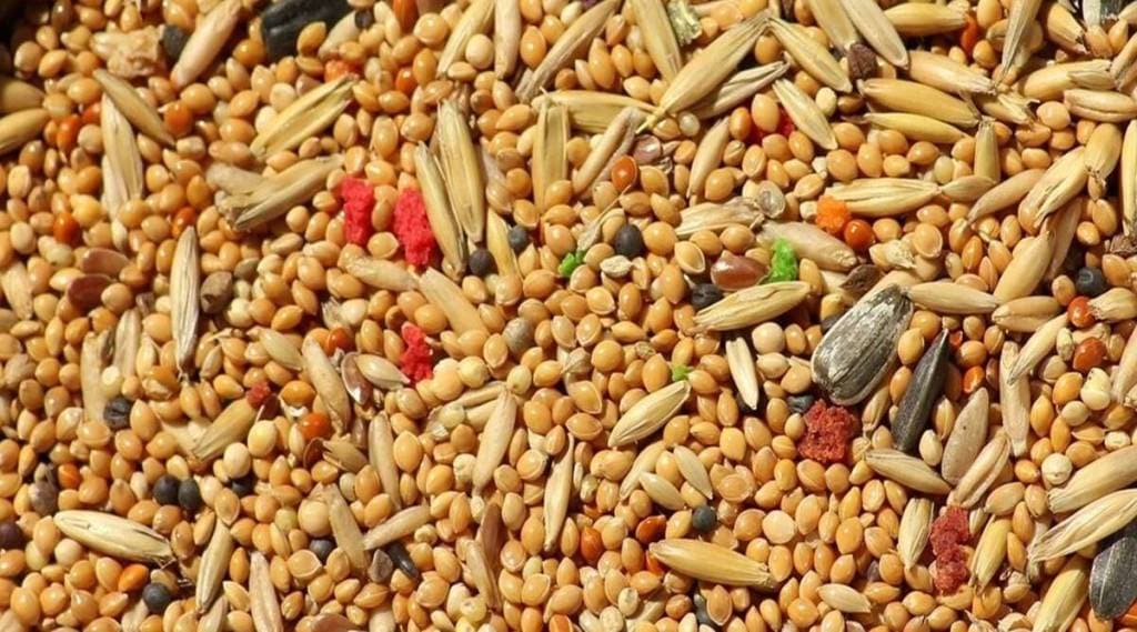 nutri cereals