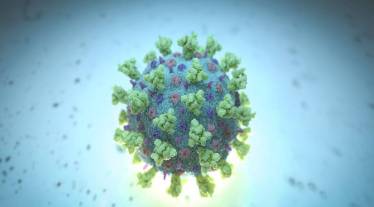 repeat covid 19 infections