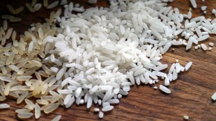 nonbasmati rice, export ban, commodities