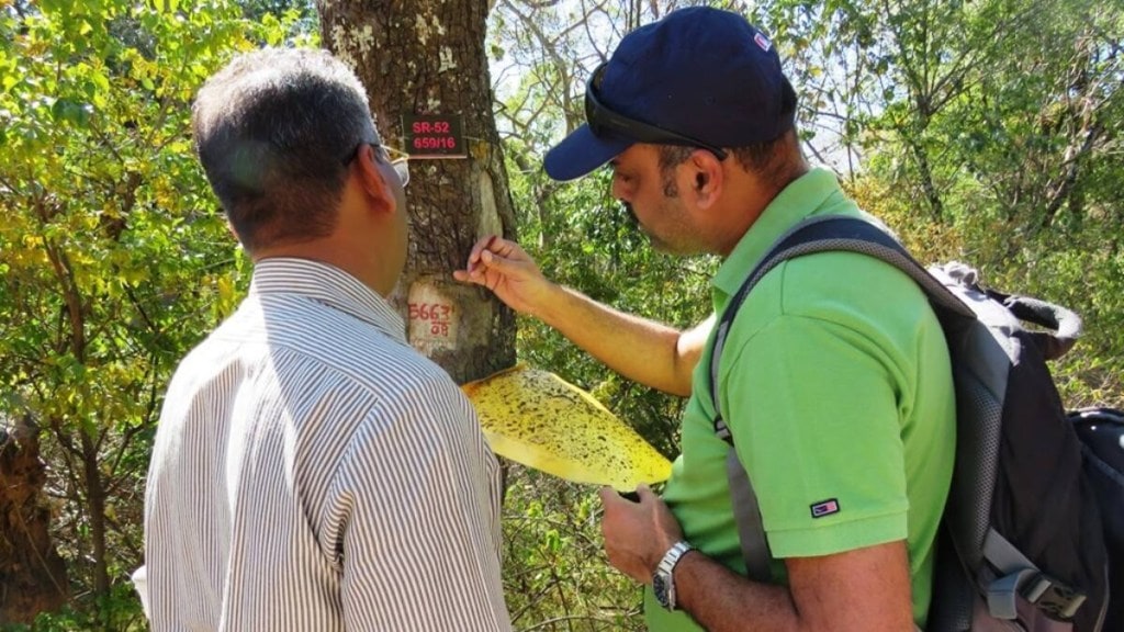 Sandlwoods, National Centre for Cell Science, Sandalwood spike disease, Sapplings, Seeds, Diesese, sandalwood seedlings, Science