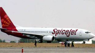 spicejet shares
