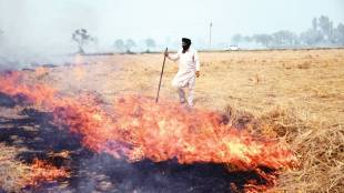 stubble burning, air pollution