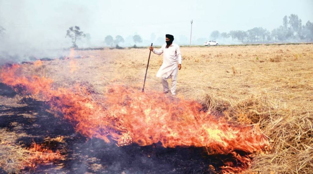 stubble burning, air pollution stubble burning, air pollution