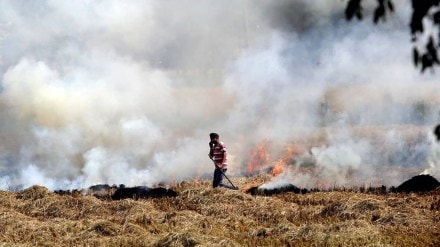 stuble burning
