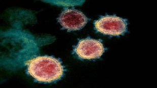 Zombie Virus, Virus, Glaciers, Global warming, Climate change, Research, Science
