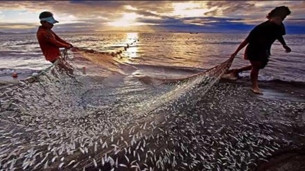 monsoon rain, livestock, fisheries, food grain, monsoon rain, livestock, fisheries, food grain,