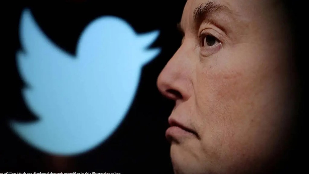 Elon Musk, twitter, Twitter polls, Twitter blue tick users