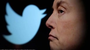 Elon Musk, twitter, Twitter polls, Twitter blue tick users