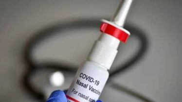 Nasal vaccine, covid booster dose, covid vaccine,