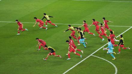 fifa world cup, fifa world cup 2022, World Cup, 2022 Qatar World Cup