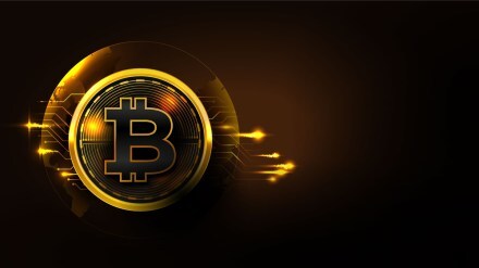 The expected plunge in revenue was first reported by Bloomberg News on Wednesday, citing an interview with Armstrong.