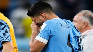 fifa