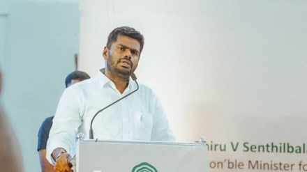 Bharatiya Janata Party's Tamil Nadu unit president K Annamalai. (File Image)